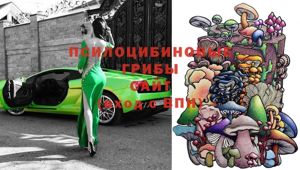 мдпв Лихославль