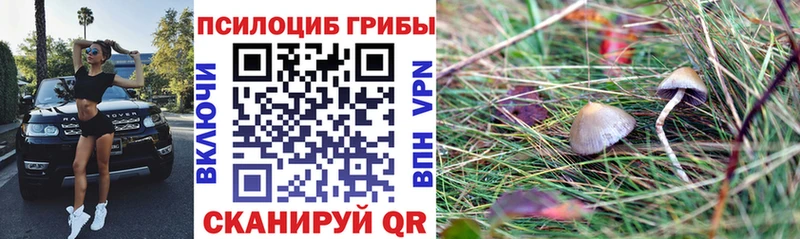 Псилоцибиновые грибы прущие грибы  darknet формула  Безенчук 